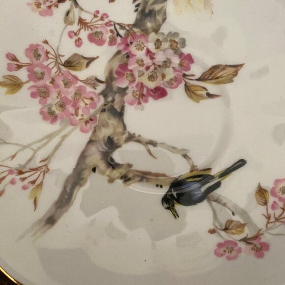 Vintage Queen Anne Bird in Cherry Blossom Tree Fine Bone China Cup Saucer Set - Picture 9 of 15